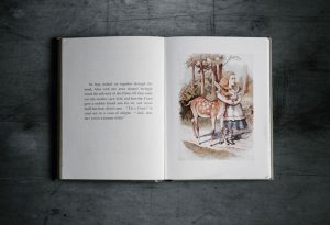 Libri prima di Dormire : Alice nel Paese delle Meraviglie